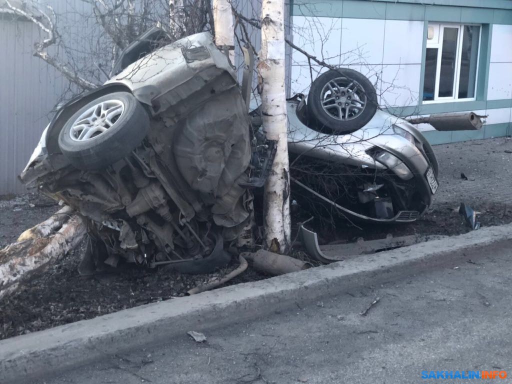 В Смирных водитель седана врезался в дерево и погиб. Сахалин.Инфо