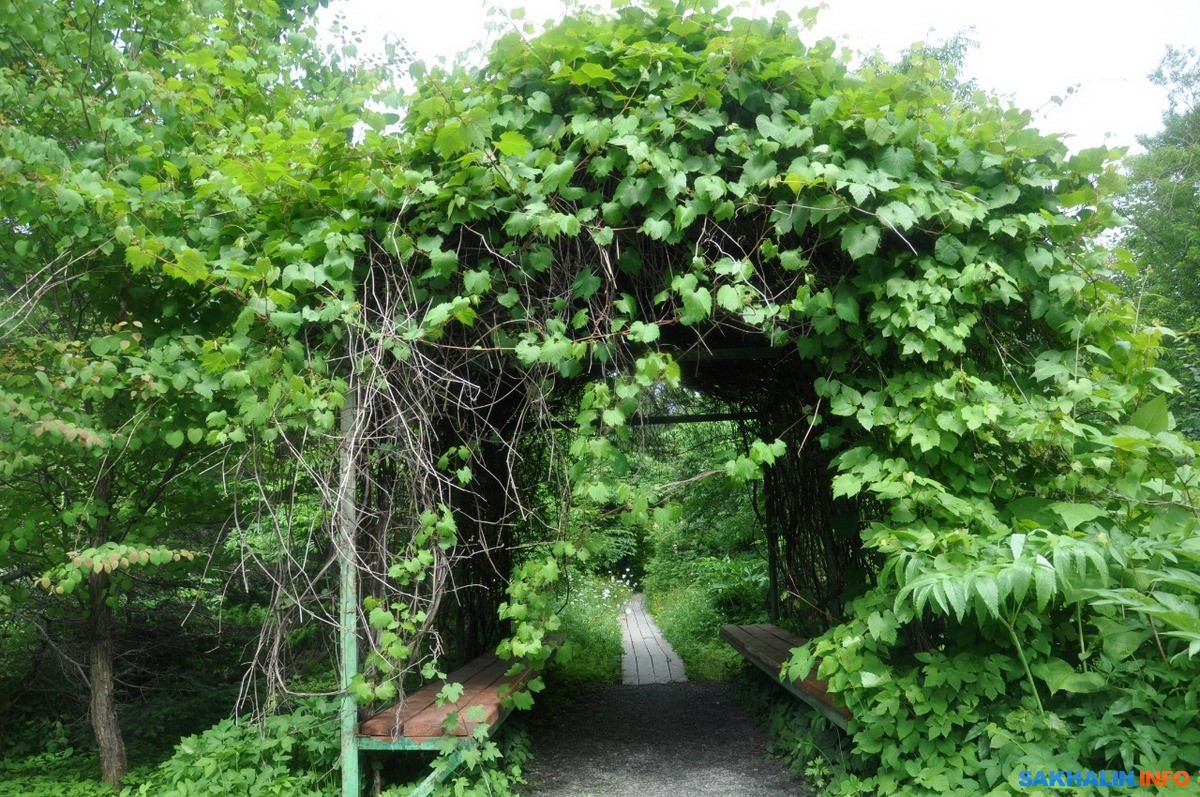 Ботанический сад южно сахалинск фото