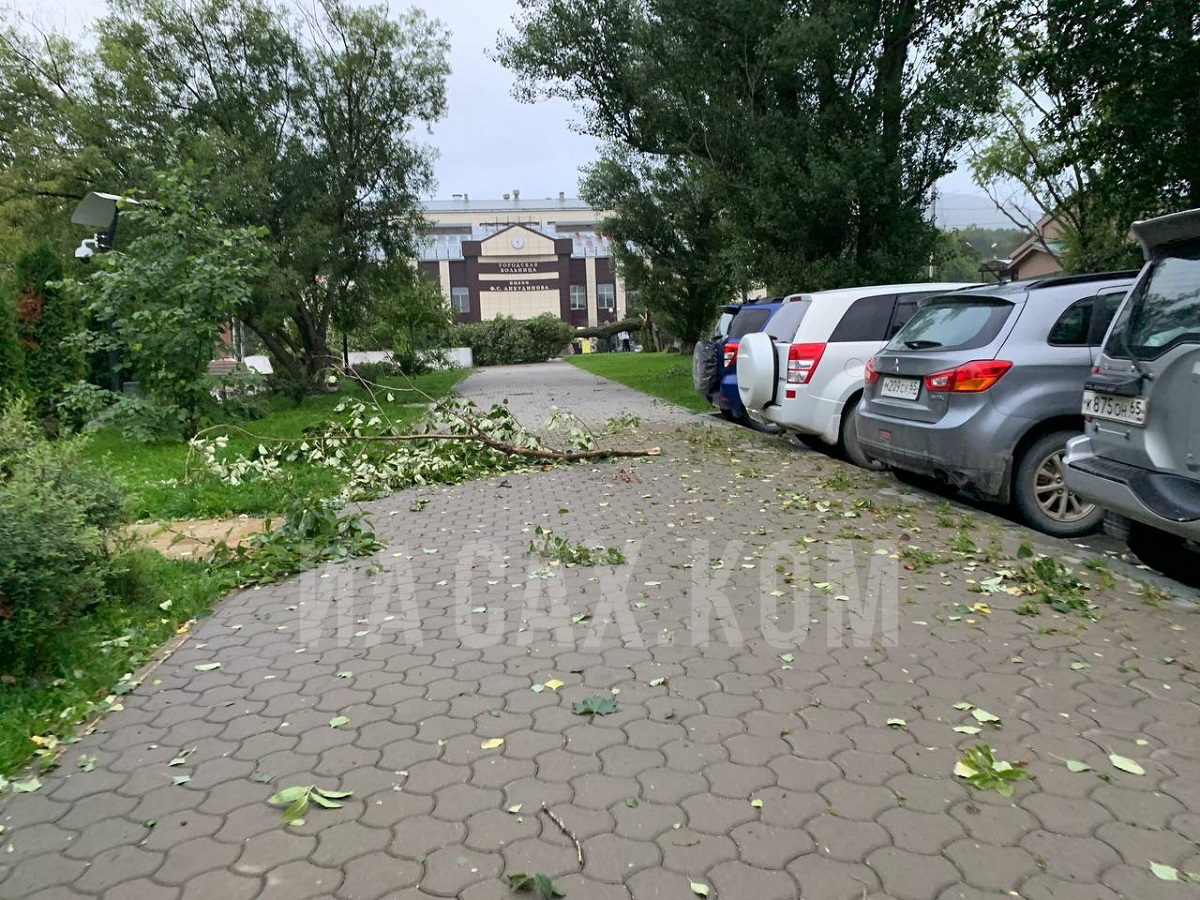 Поваленные деревья и столбы — 