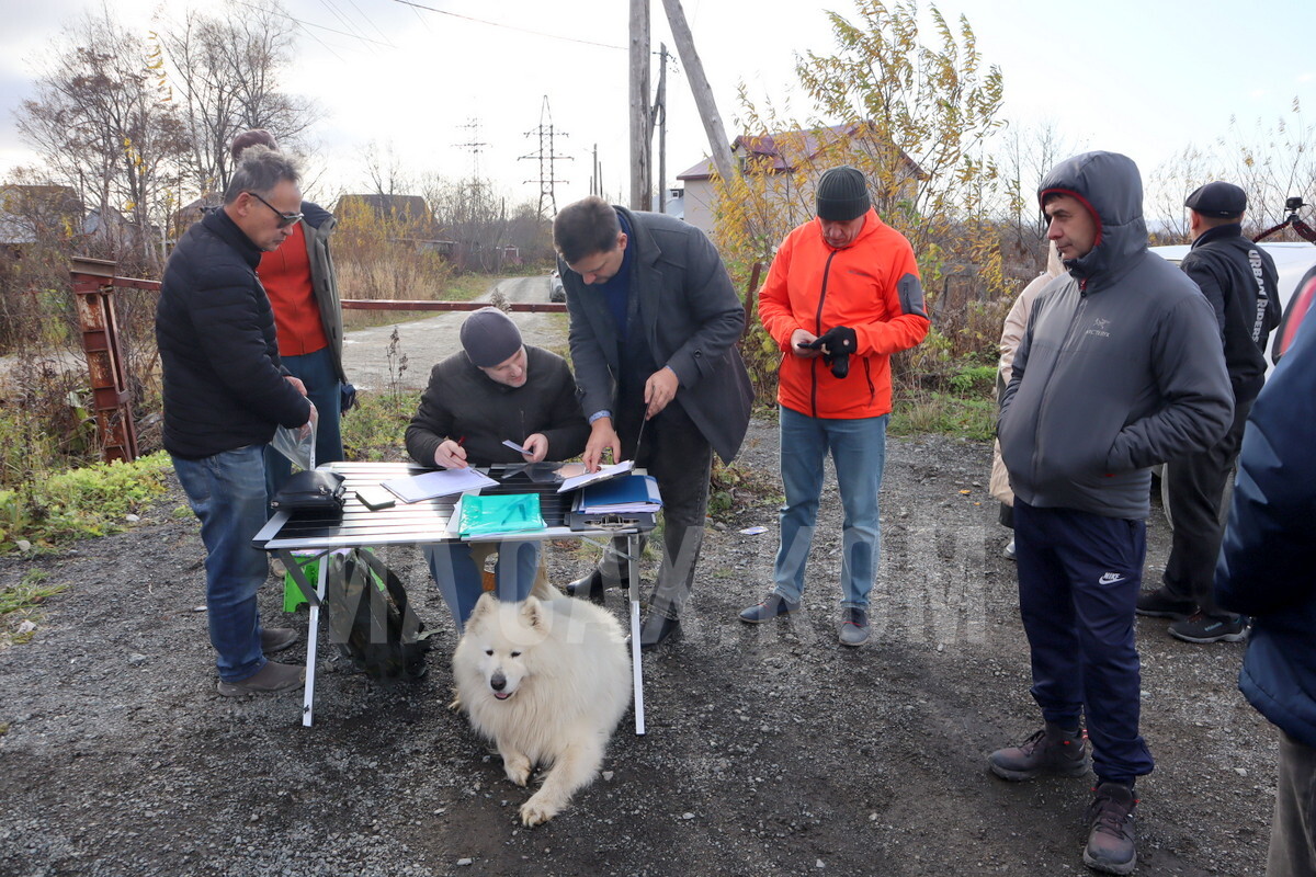 В скандальном СНТ 